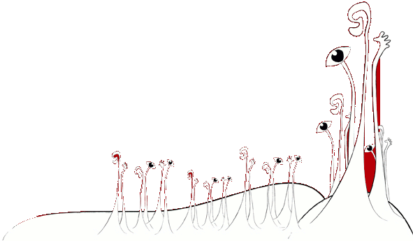 acceso multisensorial