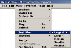 Internet Explorer: Captura de las opciones de ampliación de texto