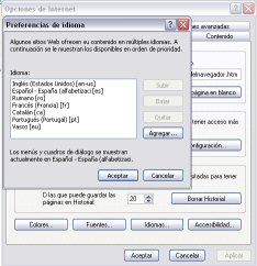 Internet Explorer: Captura de las opciones de cambio de idioma.